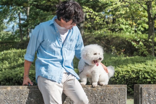 石垣に腰かけた飼い主とそばに寄り添うビションフリーゼ