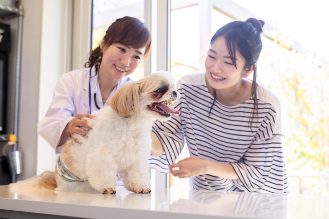 診察台の犬を挟んで笑顔で話すスタッフと飼い主