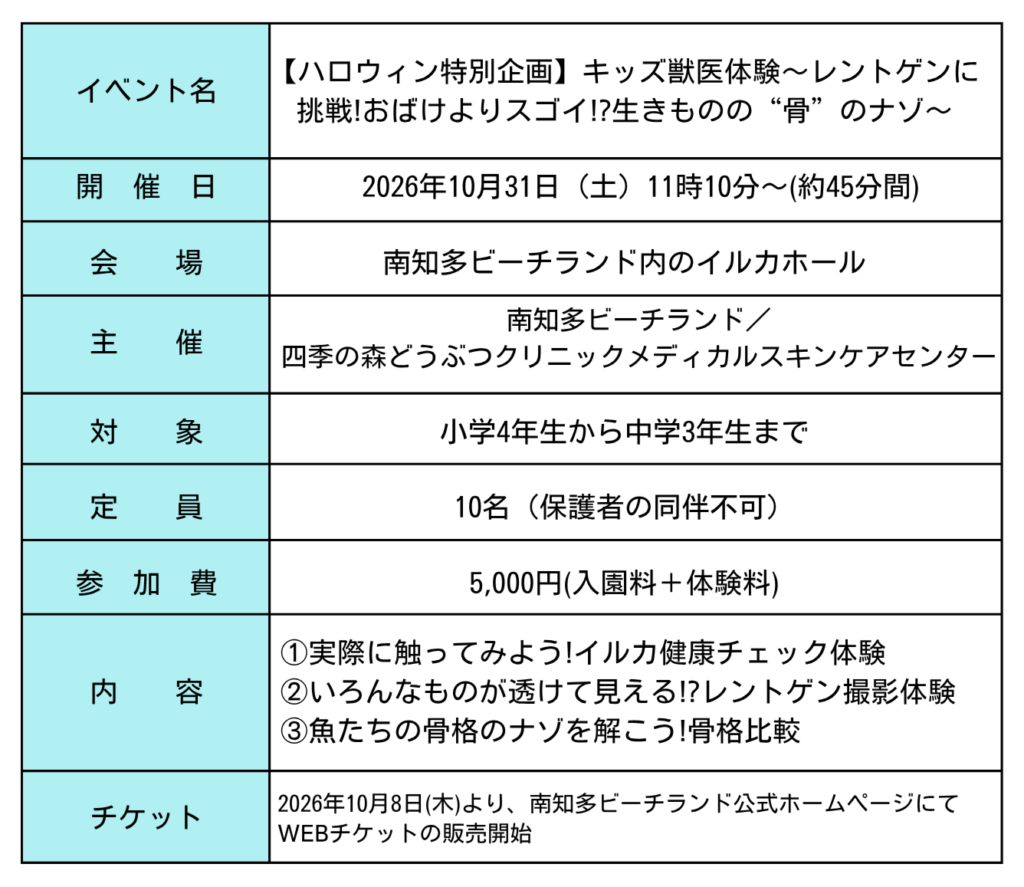 イベント概要